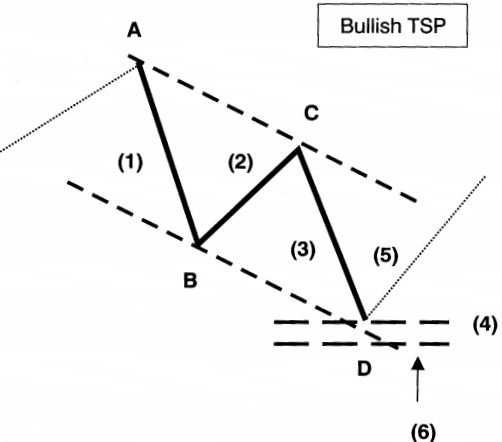 Giới thiệu mẫu hình TSP tương đồng