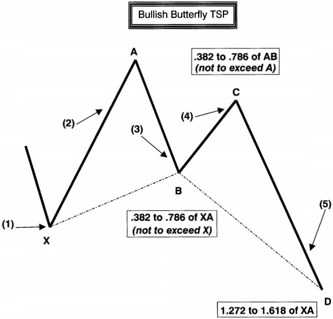 Giới thiệu mẫu hình TSP bướm