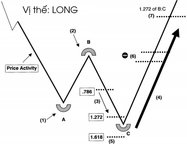 Giới thiệu mẫu hình Shark Attack