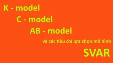 K-model, C-model, AB-model và các tiêu chí lựa chọn mô hình SVAR