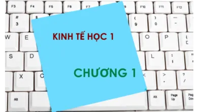 Bộ đề thi trắc nghiệm môn Kinh tế học - Chương 1: Giới thiệu kinh tế học và kinh tế vi mô