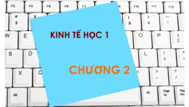 Bộ đề thi trắc nghiệm môn Kinh tế học - Chương 2: Thị trường, cung, cầu, độ co dãn, và can thiệp chính phủ