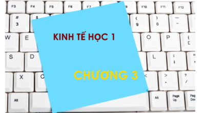 Bộ đề thi trắc nghiệm môn Kinh tế học - Chương 3: Lựa chọn của người tiêu dùng