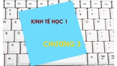 Bộ đề thi trắc nghiệm môn Kinh tế học - Chương 3: Lựa chọn của người tiêu dùng
