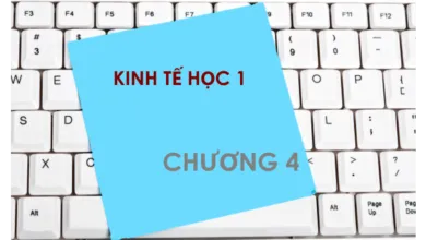 Bộ đề thi trắc nghiệm môn Kinh tế học - Chương 4: Doanh nghiệp: sản xuất, chi phí và lợi nhuận