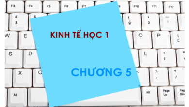 Bộ đề thi trắc nghiệm môn Kinh tế học - Chương 5: Tổng quát về kinh tế vĩ mô