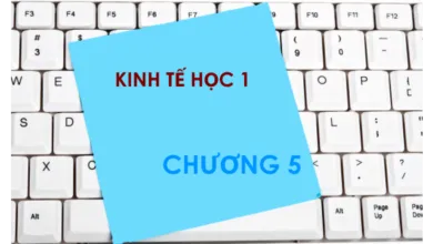 Bộ đề thi trắc nghiệm môn Kinh tế học - Chương 5: Tổng quát về kinh tế vĩ mô