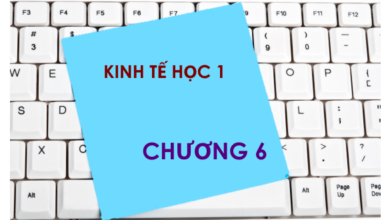 Bộ đề thi trắc nghiệm môn Kinh tế học - Chương 6: Số liệu kinh tế vĩ mô và các liên kết cơ bản