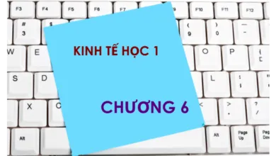 Bộ đề thi trắc nghiệm môn Kinh tế học - Chương 6: Số liệu kinh tế vĩ mô và các liên kết cơ bản