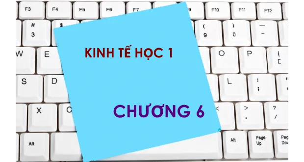 Bộ đề thi trắc nghiệm môn Kinh tế học - Chương 6: Số liệu kinh tế vĩ mô và các liên kết cơ bản