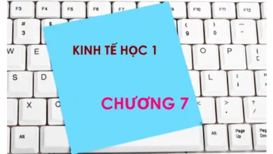 Bộ đề thi trắc nghiệm môn Kinh tế học - Chương 7: Cân bằng trong thị trường hàng hoá ở ngắn hạn