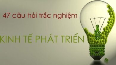 47 câu hỏi trắc nghiệm môn Kinh tế phát triển