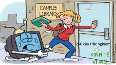 266 câu trắc nghiệm Kinh tế vi mô + đáp án
