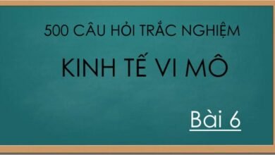 500 câu hỏi trắc nghiệm kinh tế vi mô