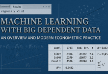 Machine Learning with Big Dependent Data An Overview and Modern Econometric Practice