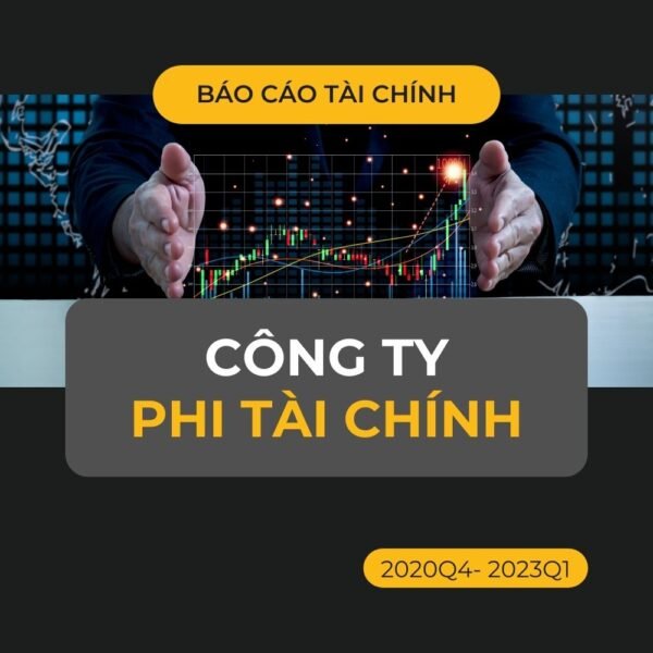 Dữ liệu báo cáo tài chính quý của công ty phi tài chính
