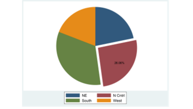 Biểu đồ hình tròn - Pie Chart trên Stata