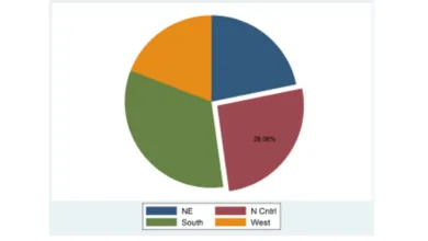 Biểu đồ hình tròn - Pie Chart trên Stata