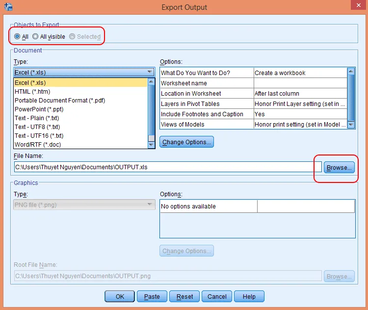 Giao diện xuất dữ liệu từ SPSS Output Viewer sang Excel
