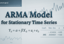 ARMA Model for Stationary Time Series: Theory and Practical Applications