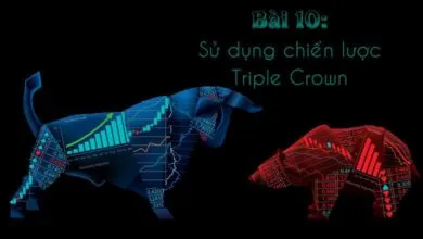 Giới thiệu và hướng dẫn thực hành chiến lược Triple Crown