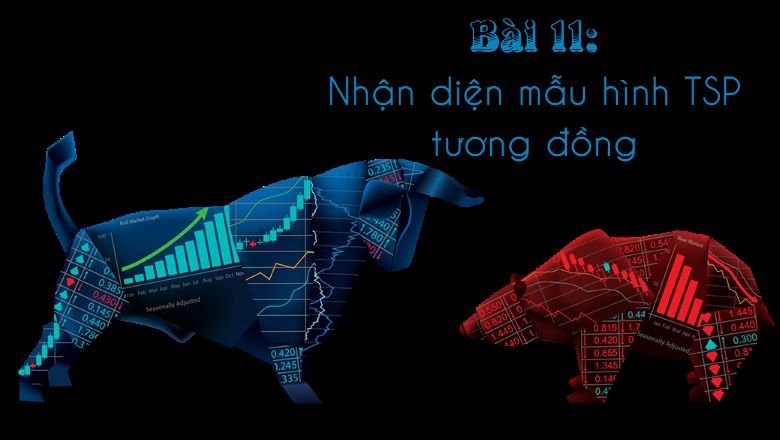 Hướng dẫn nhận diện mẫu hình TSP tương đồng