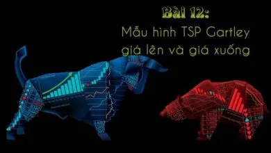 Hướng dẫn nhận diện và áp dụng mẫu hình TSP Gartley giá lên và giá xuống