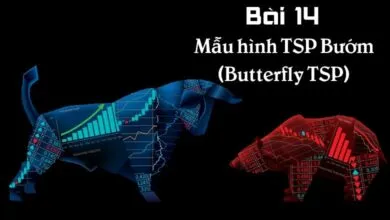 Hướng dẫn xác định mẫu hình Heisenberg và cách áp dụng mẫu hình Heisenberg trong trading