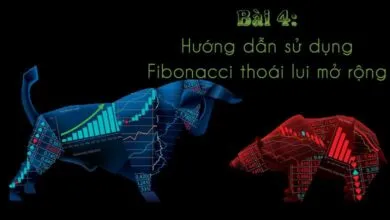 Hướng dẫn sử dụng Fibonacci thoái lui mở rộng - Fibonacci Extenstions