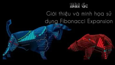 Hướng dẫn sử dụng Fibonacci Expansions