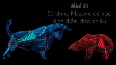 Hướng dẫn sử dụng Fibzone để xác định điểm đảo chiều