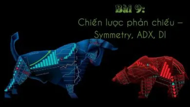 Giới thiệu và minh họa thực hành chiến lược phản chiếu - Symmetry, ADX, DI với Fibzone