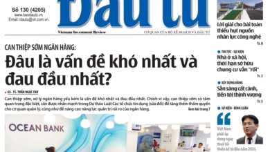 Báo đầu tư