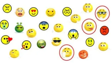 Xử lí vấn đề biến nội sinh, chọn mẫu và đánh giá phi ngẫu nhiên