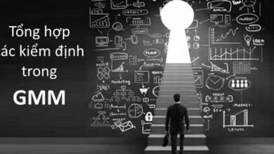 Tổng hợp các kiểm định trong GMM bao gồm tính hợp lý của biến đại diện, tính vững của mô hình, tự tương quan của biến giải thích, biến giả thời gian...