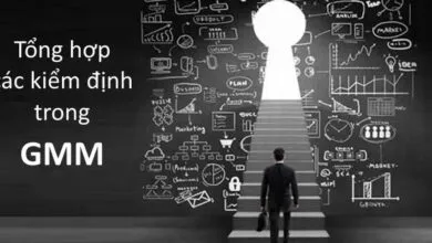 Tổng hợp các kiểm định trong GMM bao gồm tính hợp lý của biến đại diện, tính vững của mô hình, tự tương quan của biến giải thích, biến giả thời gian...