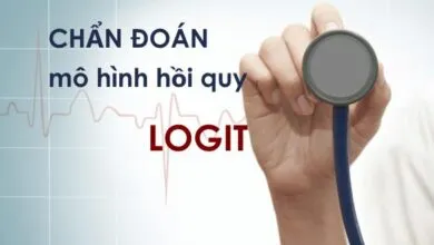 Chẩn đoán các khuyết tật của mô hình logit như thừa/thiếu biến, phương sai thay đổi và giải thích độ phù hợp của mô hình