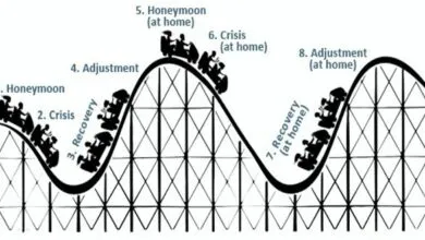 Cơ chế truyền dẫn cú sốc tài chính và thương mại đến nền sản xuất ở các nước châu Á - sử dụng mô hình VAR