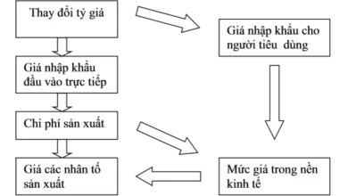 Sử dụng mô hình VECM theo Johasen phân tích tác động truyền dẫn tỉ giá hối đoái đến lạm phát của Việt Nam trực tiếp thông qua giá hàng nhập khẩu.
