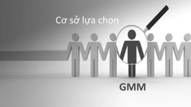 Lựa chọn GMM nhằm đảm bảo tính hiệu quả, tin cậy, bài viết đề cập cơ sở lựa chọn GMM so với OLS, LSDV, FEM/REM, tiếp đến là cơ sở lựa chọn GMM-S với D-GMM.