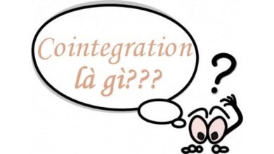 Đồng kết hợp Cointegration là gì?