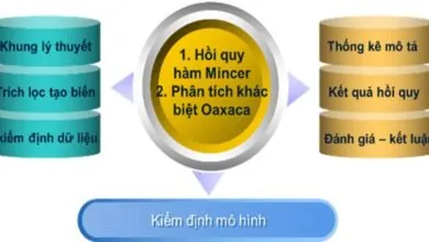 Đánh giá bất bình đẳng trong thu nhập - Mô hình Oaxaca và Neumark