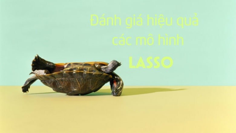 Hiệu quả của các mô hình Lasso có thể được so sánh với nhau, cũng như so sánh hiệu quả cho các mẫu dữ liệu bên ngoài thông qua cách chia mẫu