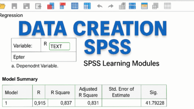 Mã hóa và tạo biến mới (recode variables) trong thực hành kinh tế lượng với SPSS