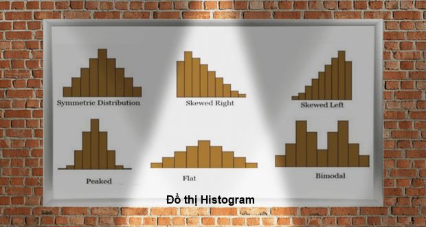 Đồ thị histogram về dạng phân phối của dữ liệu