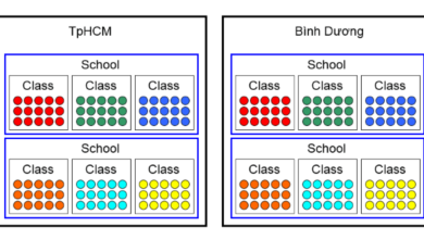 Clustered data hay nested data là các tên gọi khác của dữ liệu đa cấp (multilevel data). Vậy mô hình dữ liệu đa cấp được ước lượng bằng phương pháp nào?