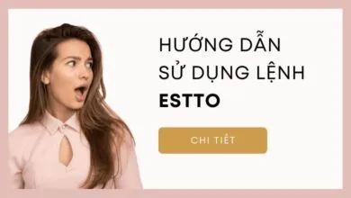 Hướng dẫn sử dụng lệnh estto