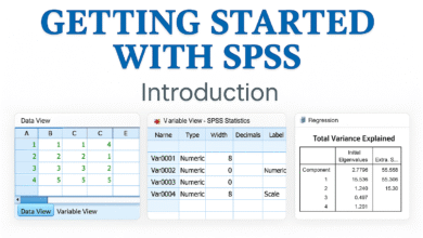 Giới thiệu SPSS và giao diện làm việc trong thực hành kinh tế lượng
