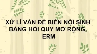 Giải quyết vấn đề biến nội sinh trong hồi quy mở rộng ERM