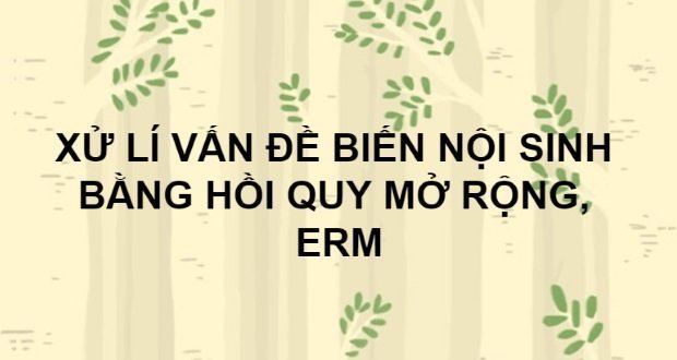 Giải quyết vấn đề biến nội sinh trong hồi quy mở rộng ERM